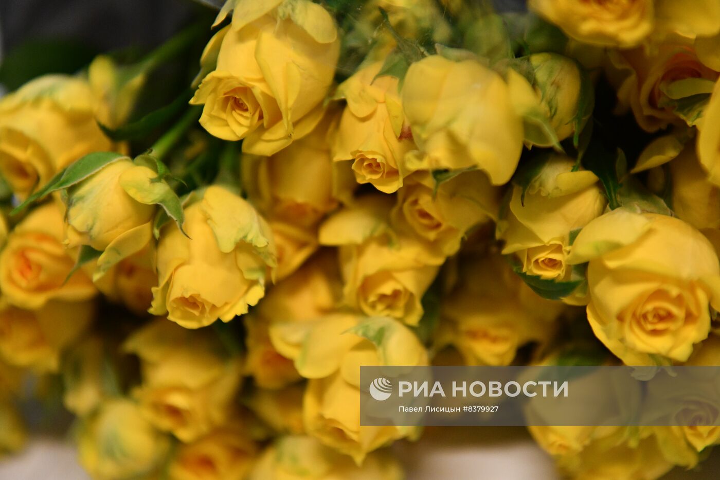 Поставка цветов к 8 Марта в Екатеринбург