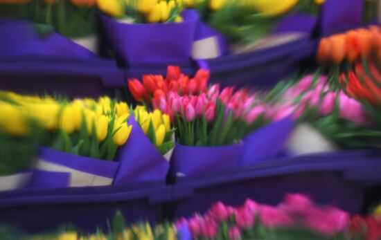 Цветочная ярмарка "Пассаж в цветах"