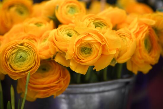 Цветочная ярмарка "Пассаж в цветах"