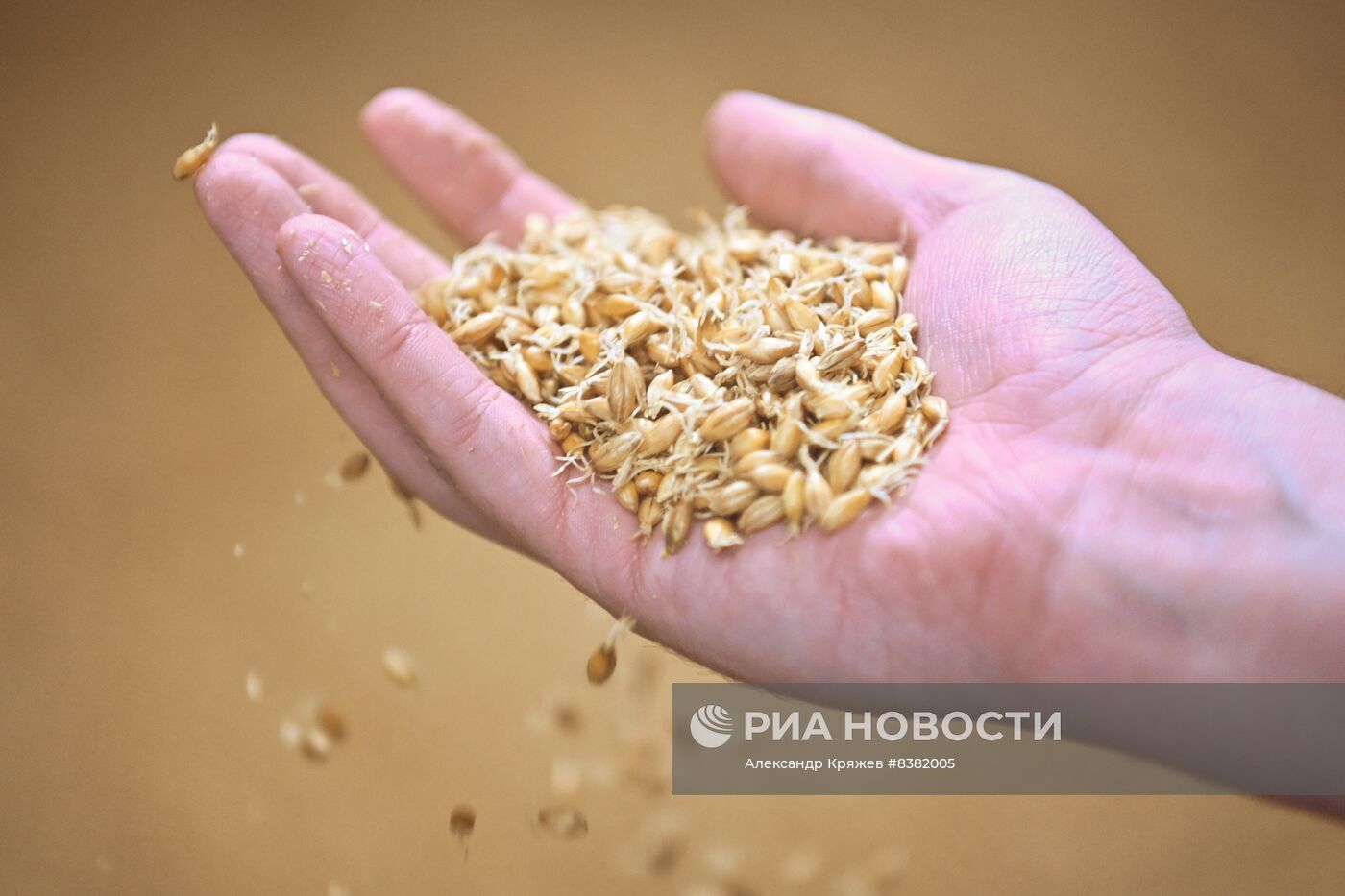 Производство пива в Новосибирске
