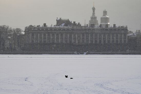 Снегопад в Санкт-Петербурге