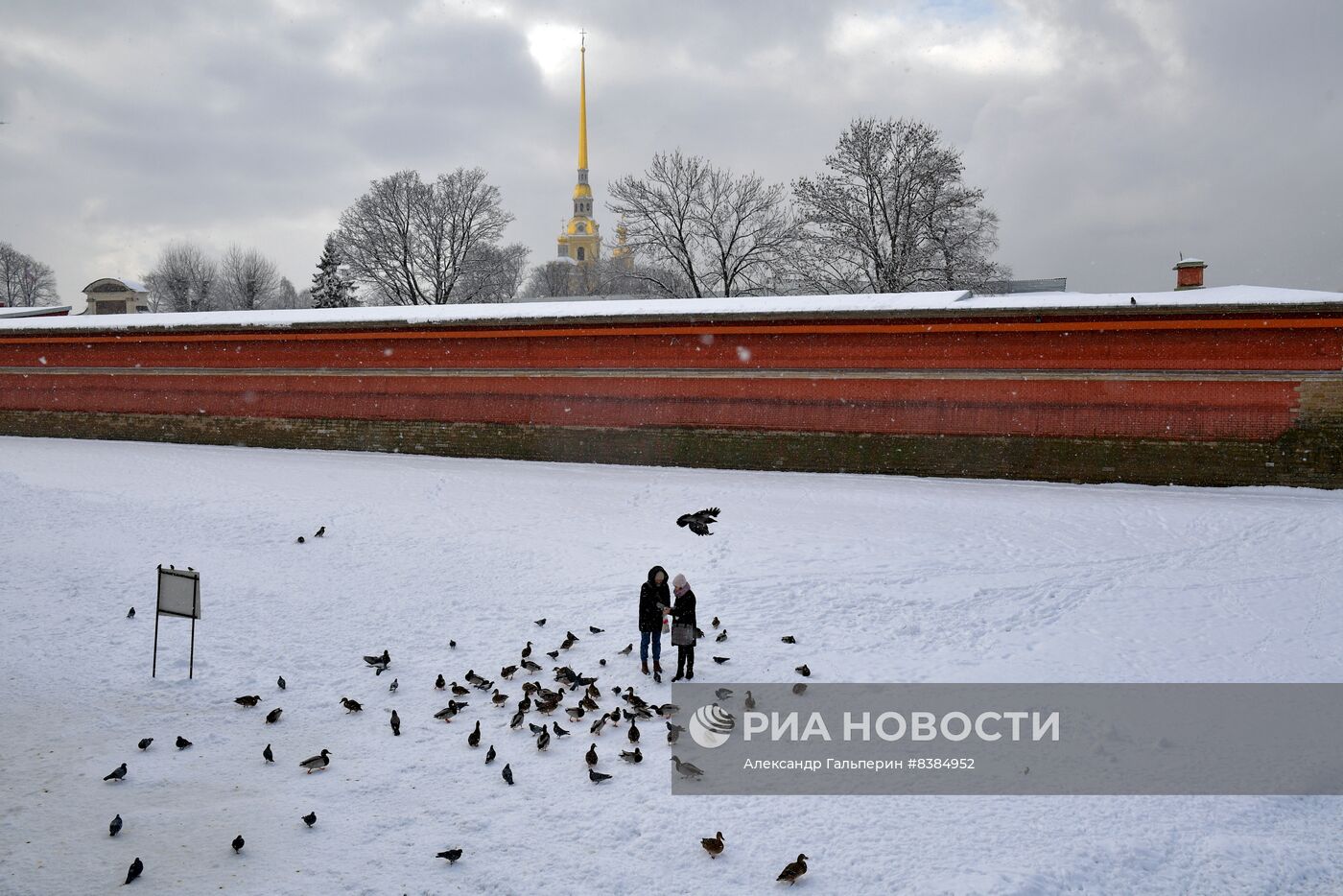 Снегопад в Санкт-Петербурге