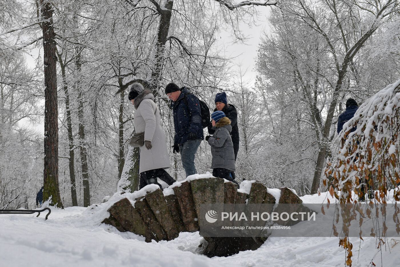 Снегопад в Санкт-Петербурге