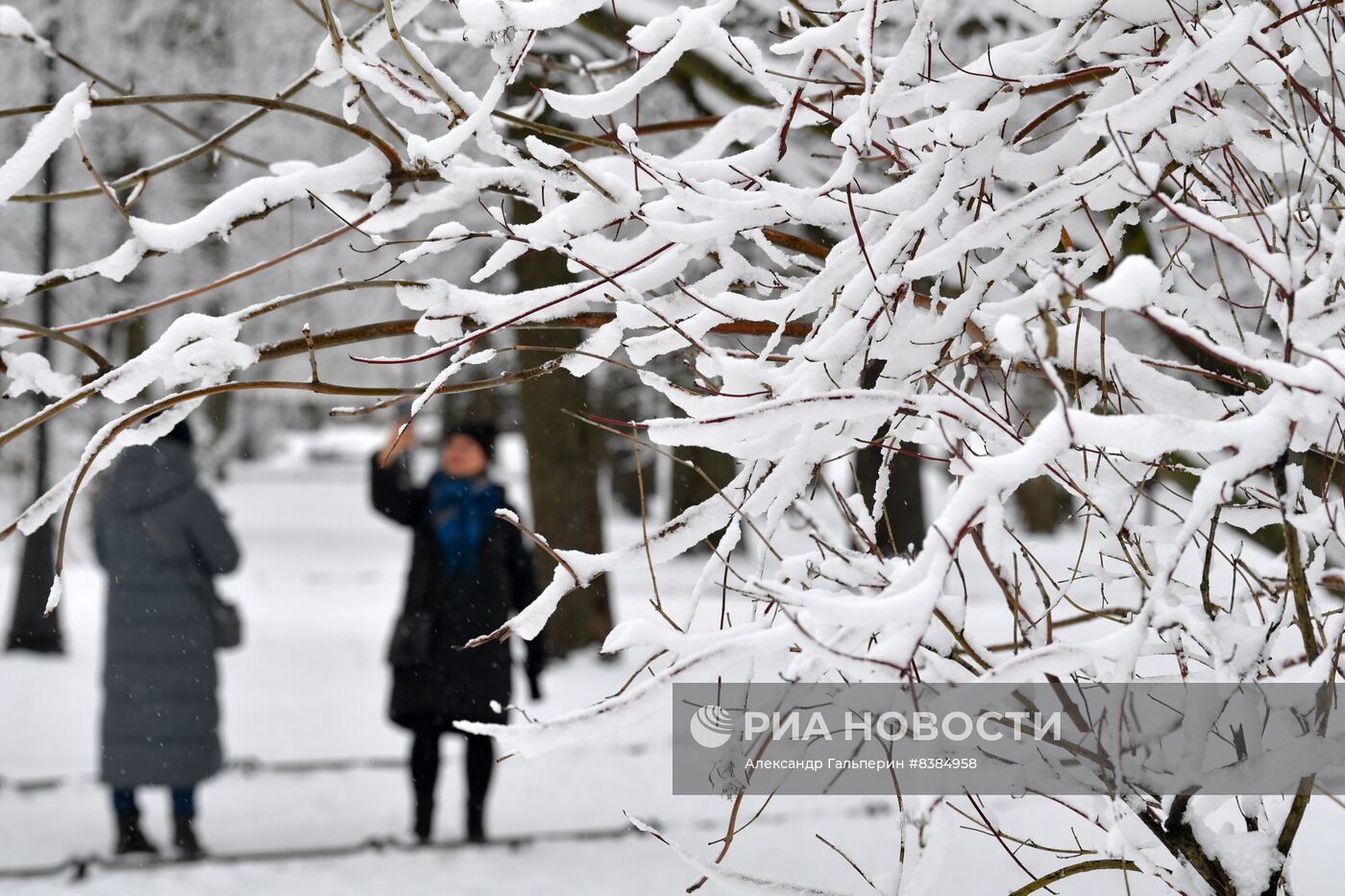 Снегопад в Санкт-Петербурге