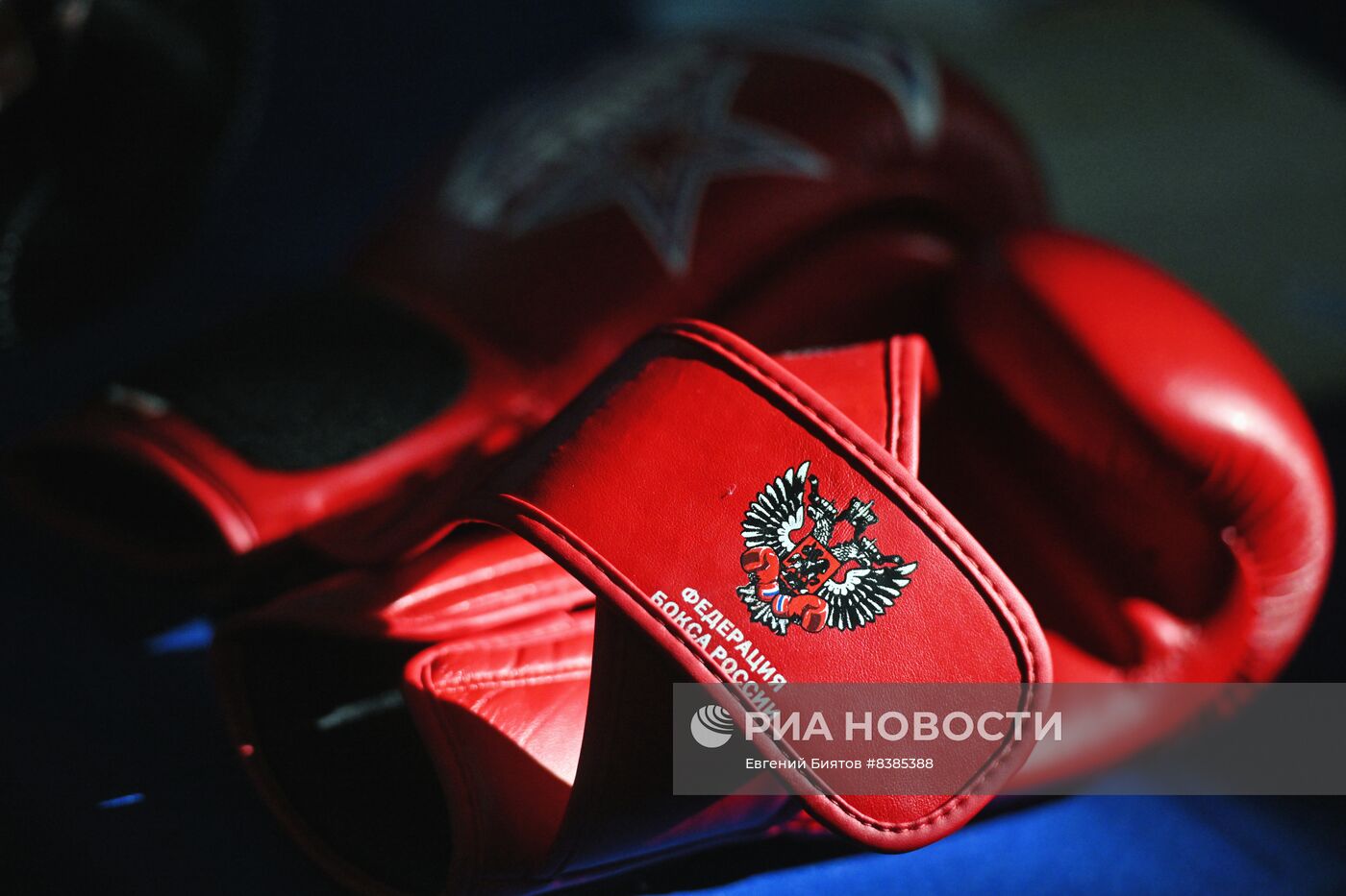 Юношеские спортивные соревнования в Луганске