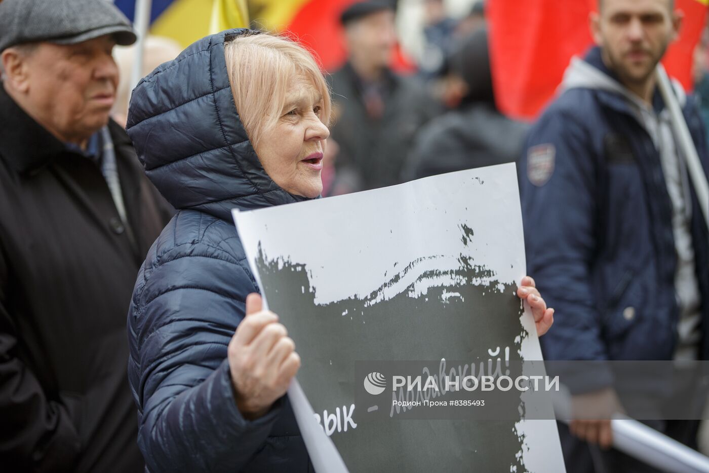 Протест у Конституционного суда Молдовы в защиту Конституции и молдавского языка