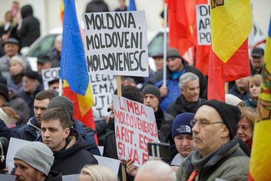 Протест у Конституционного суда Молдовы в защиту Конституции и молдавского языка