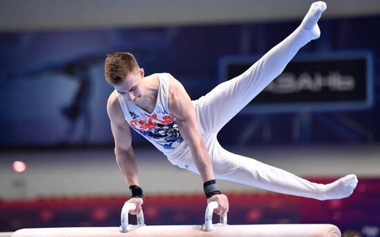 Спортивная гимнастика. Чемпионат России. Мужчины. Индивидуальное многоборье