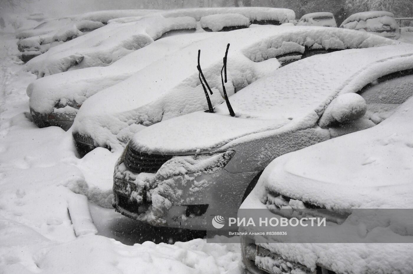 Снегопад во Владивостоке