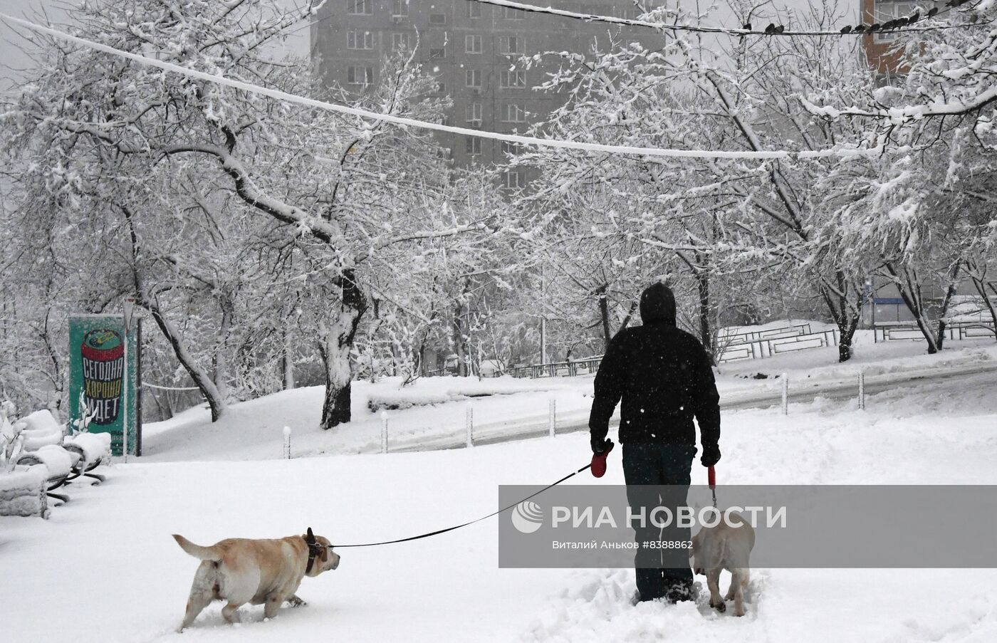 Снегопад во Владивостоке