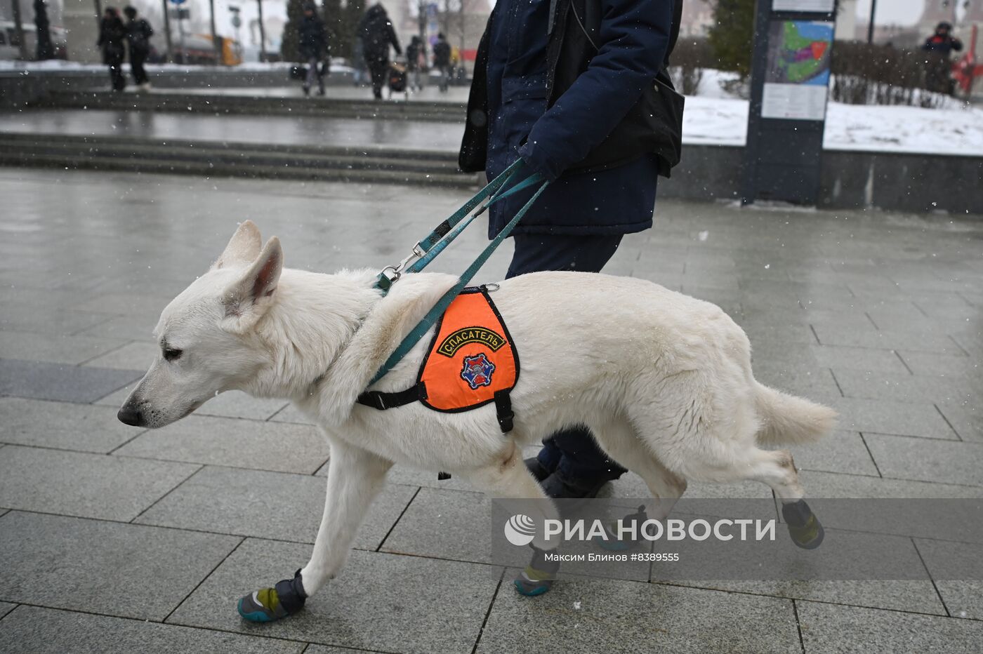 Выставка спецтехники в рамках Недели городского хозяйства