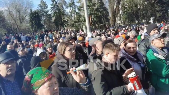 Протест перед входом в здание правительства Молдовы