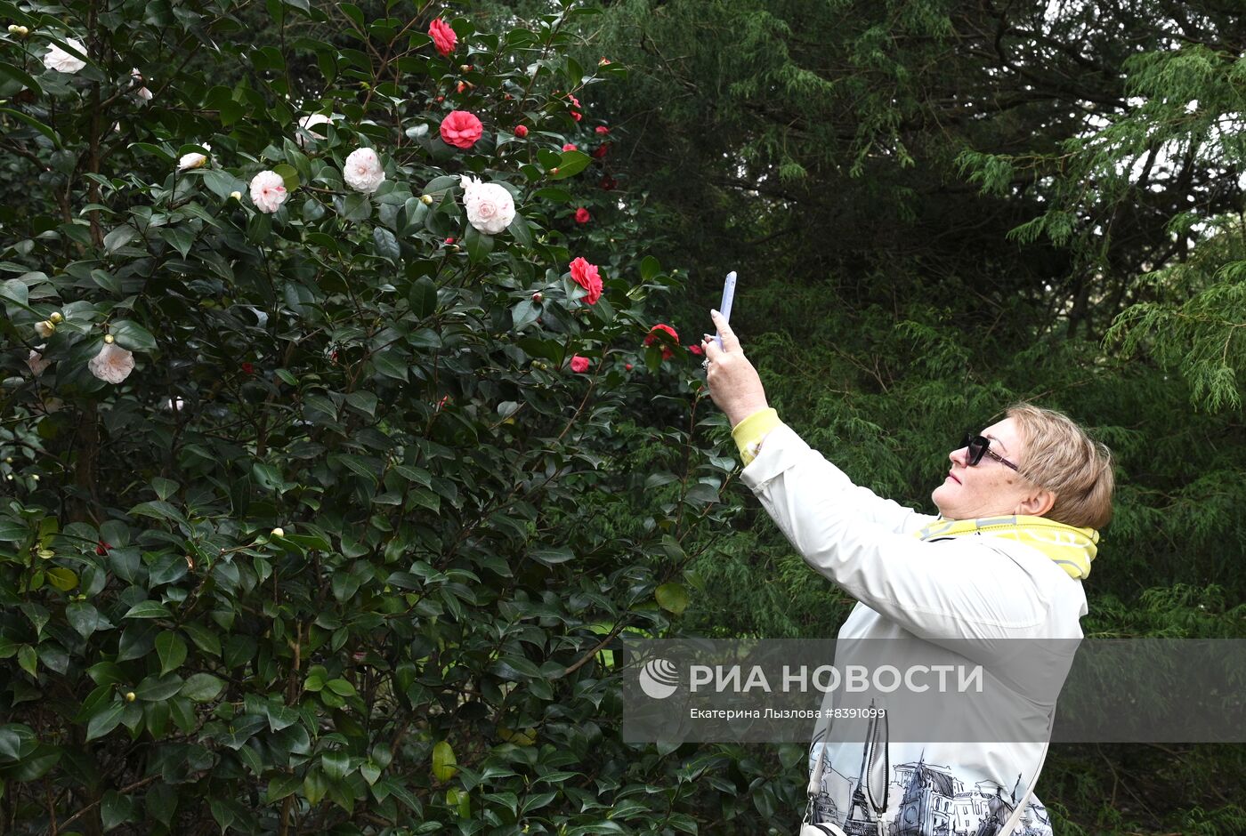 Цветение весенних растений в Сочи 