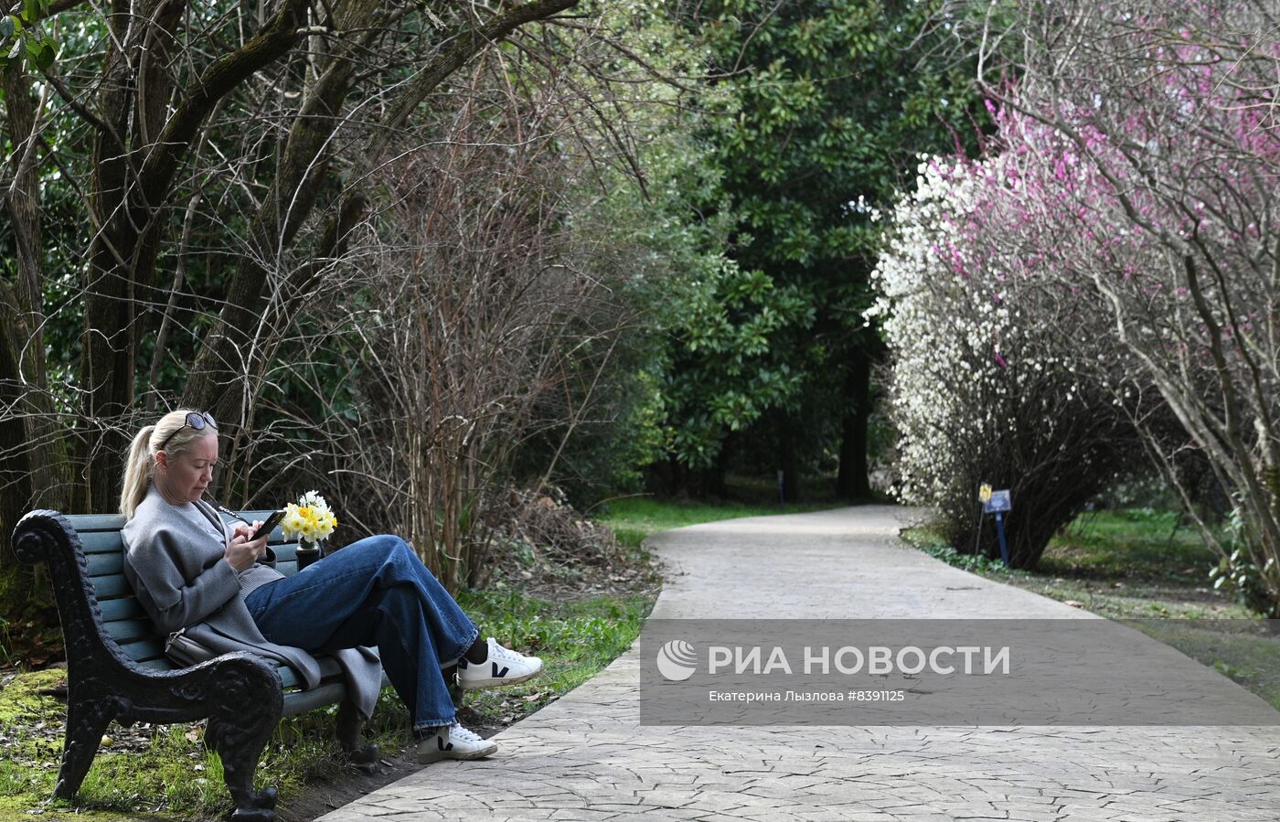 Цветение весенних растений в Сочи 