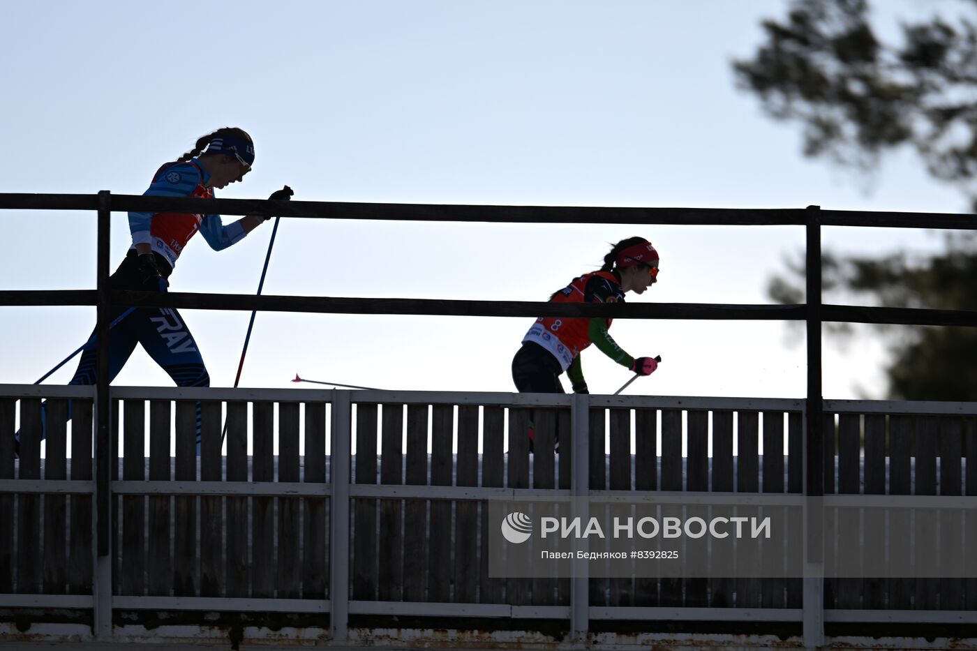 Лыжные гонки. Чемпионат России. Женщины. Спринт