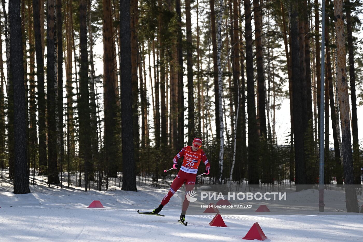 Лыжные гонки. Чемпионат России. Женщины. Спринт