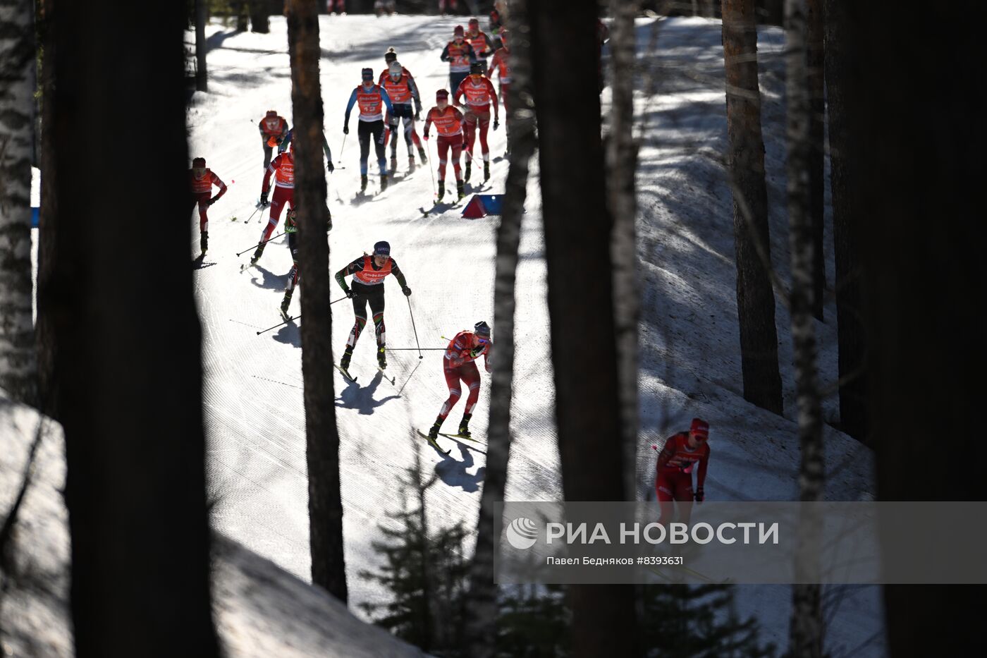 Лыжные гонки. Чемпионат России. Женщины. Скиатлон