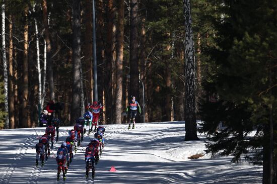 Лыжные гонки. Чемпионат России. Мужчины. Скиатлон