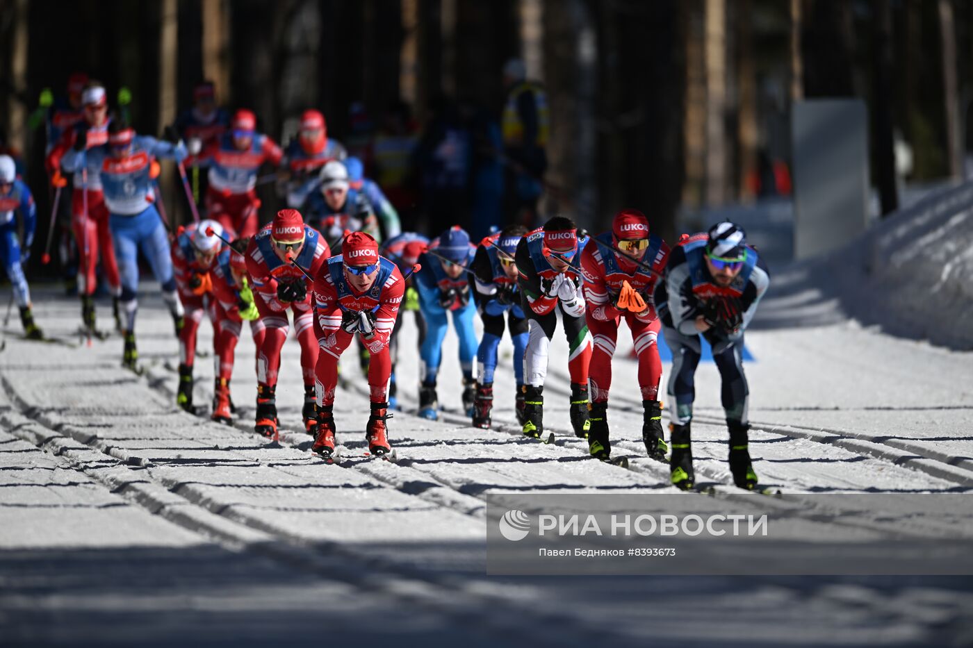 Лыжные гонки. Чемпионат России. Мужчины. Скиатлон