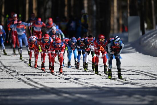 Лыжные гонки. Чемпионат России. Мужчины. Скиатлон