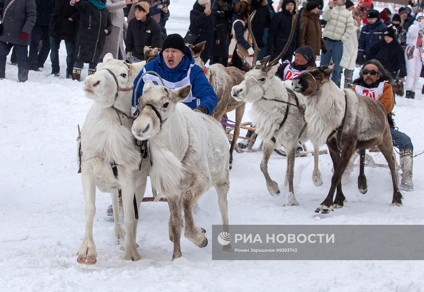 Международный чемпионат по оленеводству в Якутии