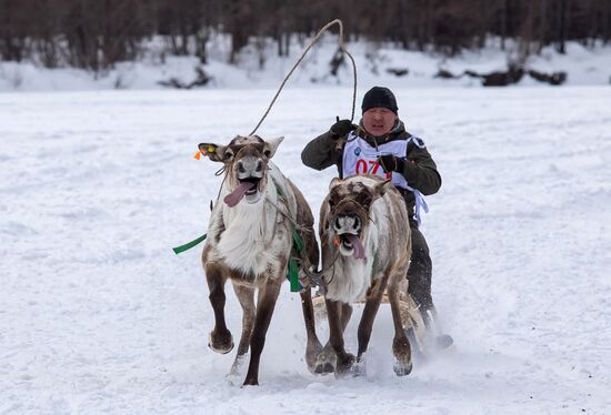 Международный чемпионат по оленеводству в Якутии