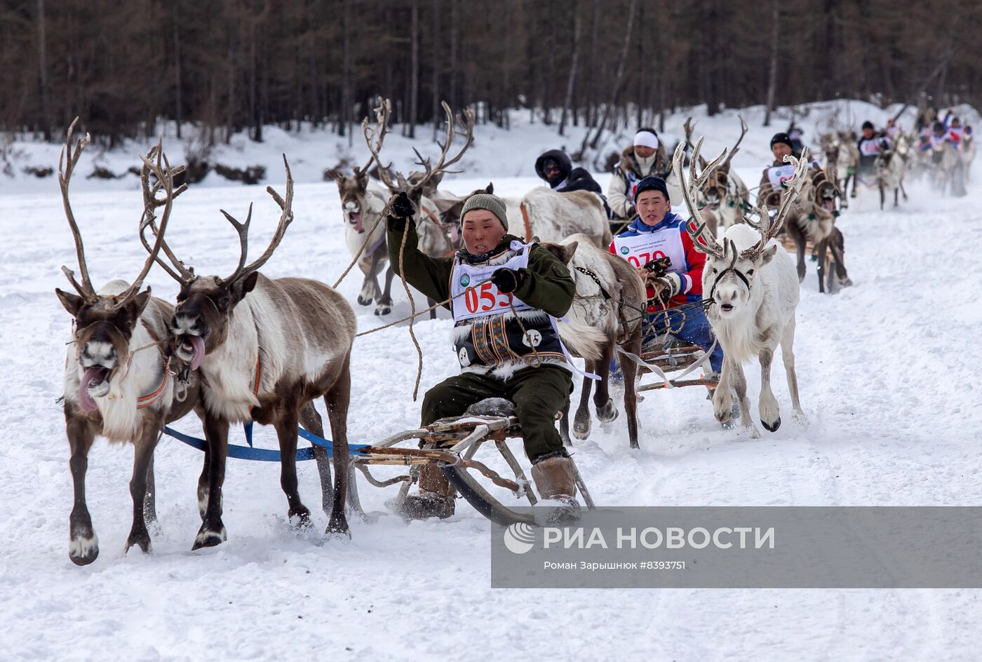 Международный чемпионат по оленеводству в Якутии
