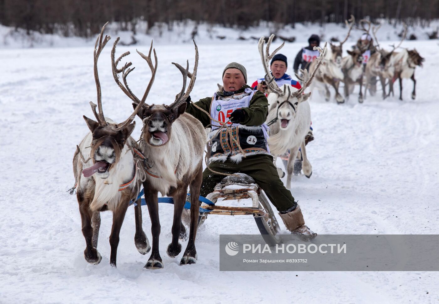 Международный чемпионат по оленеводству в Якутии