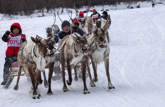 Международный чемпионат по оленеводству в Якутии