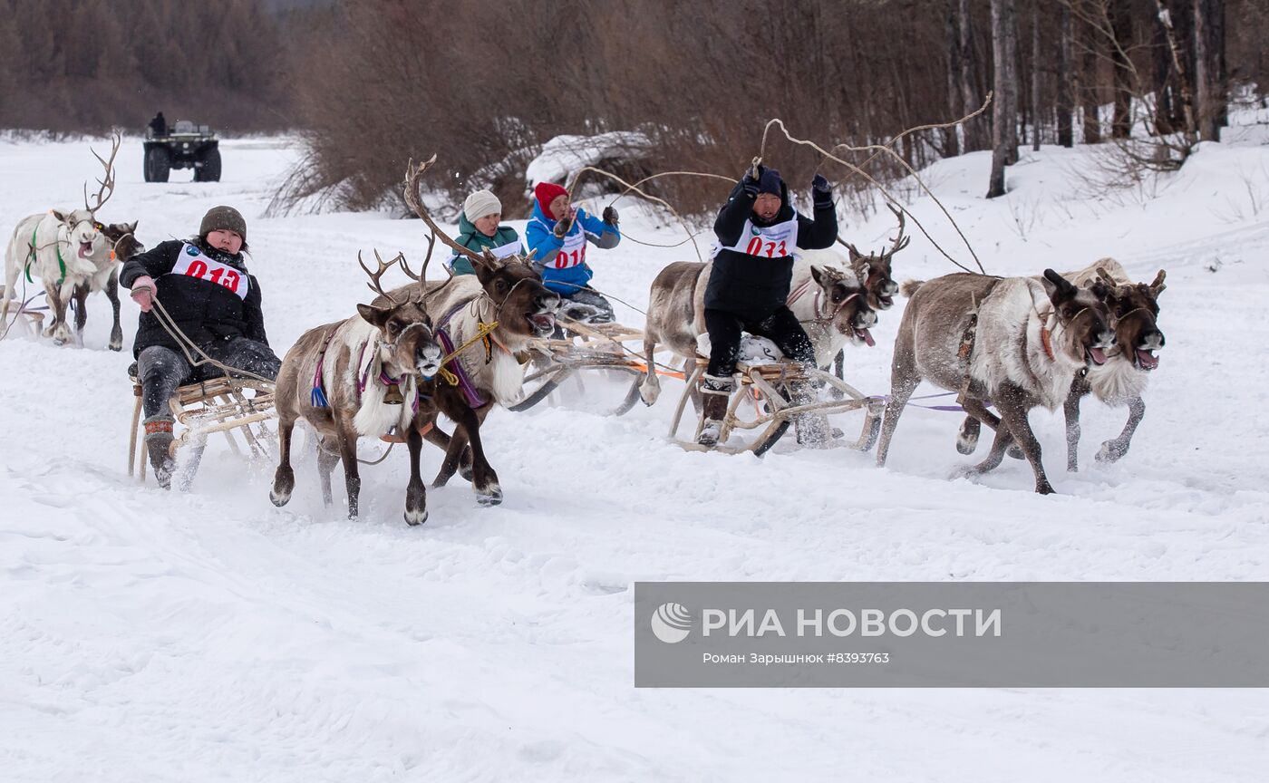Международный чемпионат по оленеводству в Якутии