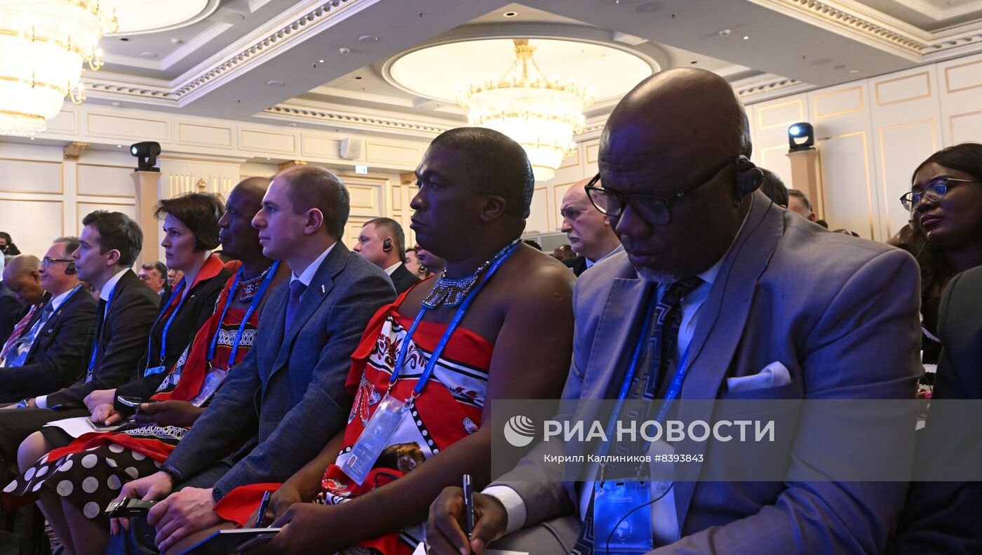 Вторая Международная парламентская конференция "Россия-Африка"