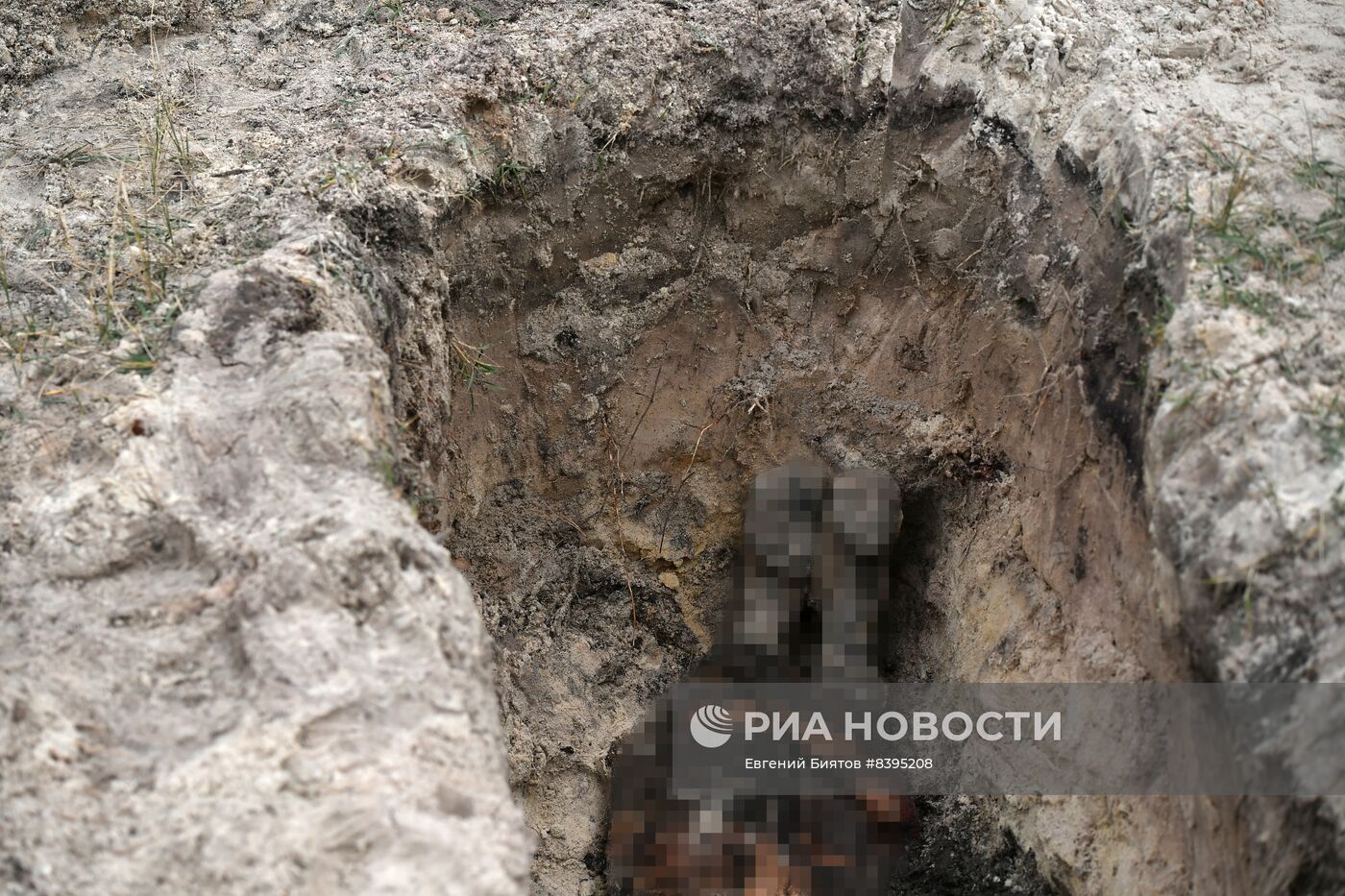 Эксгумация останков погибших мирных жителей из братской могилы в ЛНР
