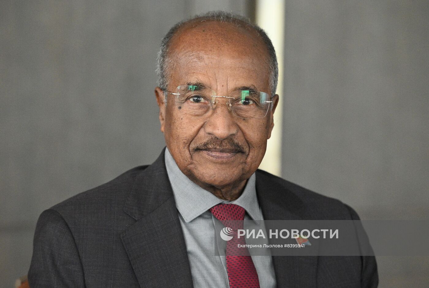 Встреча глав МИД РФ и Эритреи С. Лаврова и О. Салеха