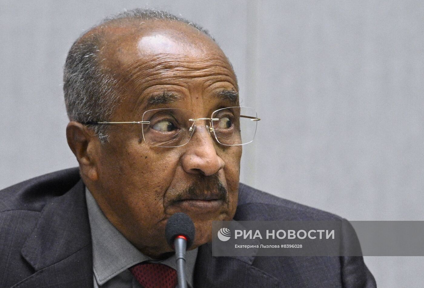 Встреча глав МИД РФ и Эритреи С. Лаврова и О. Салеха