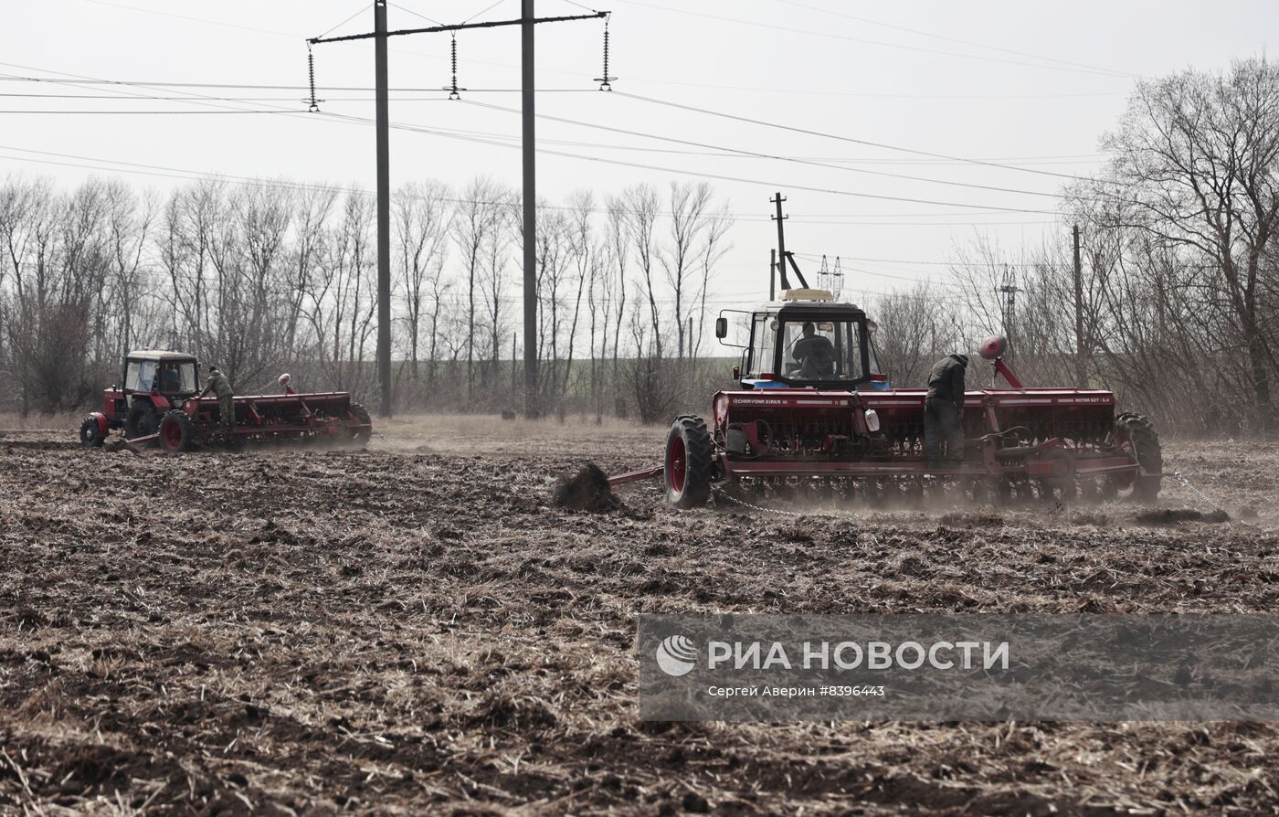 Посевная кампания началась в ДНР