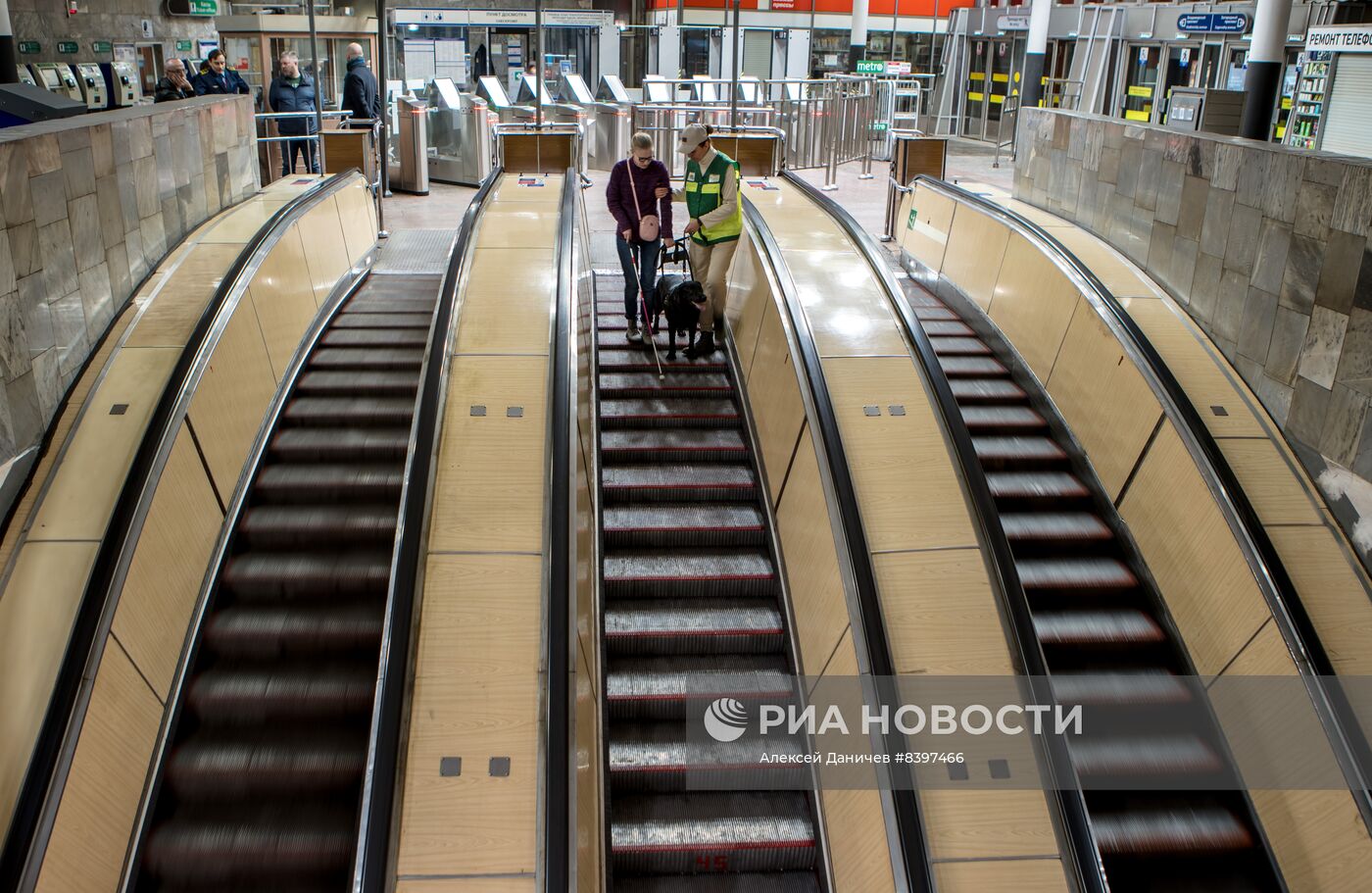 Тренировка собак-поводырей в метро Санкт-Петербурга