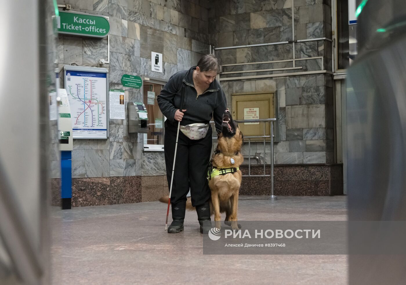 Тренировка собак-поводырей в метро Санкт-Петербурга