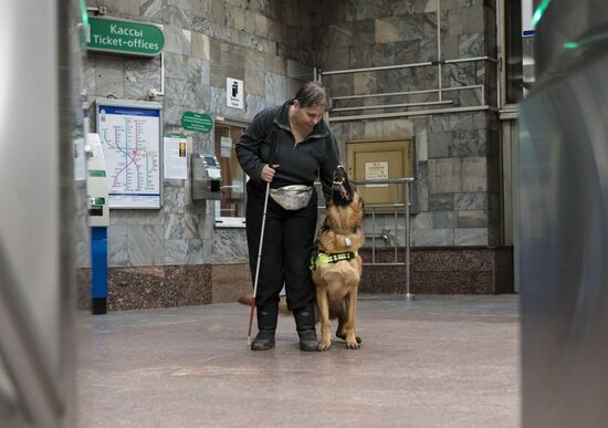 Тренировка собак-поводырей в метро Санкт-Петербурга