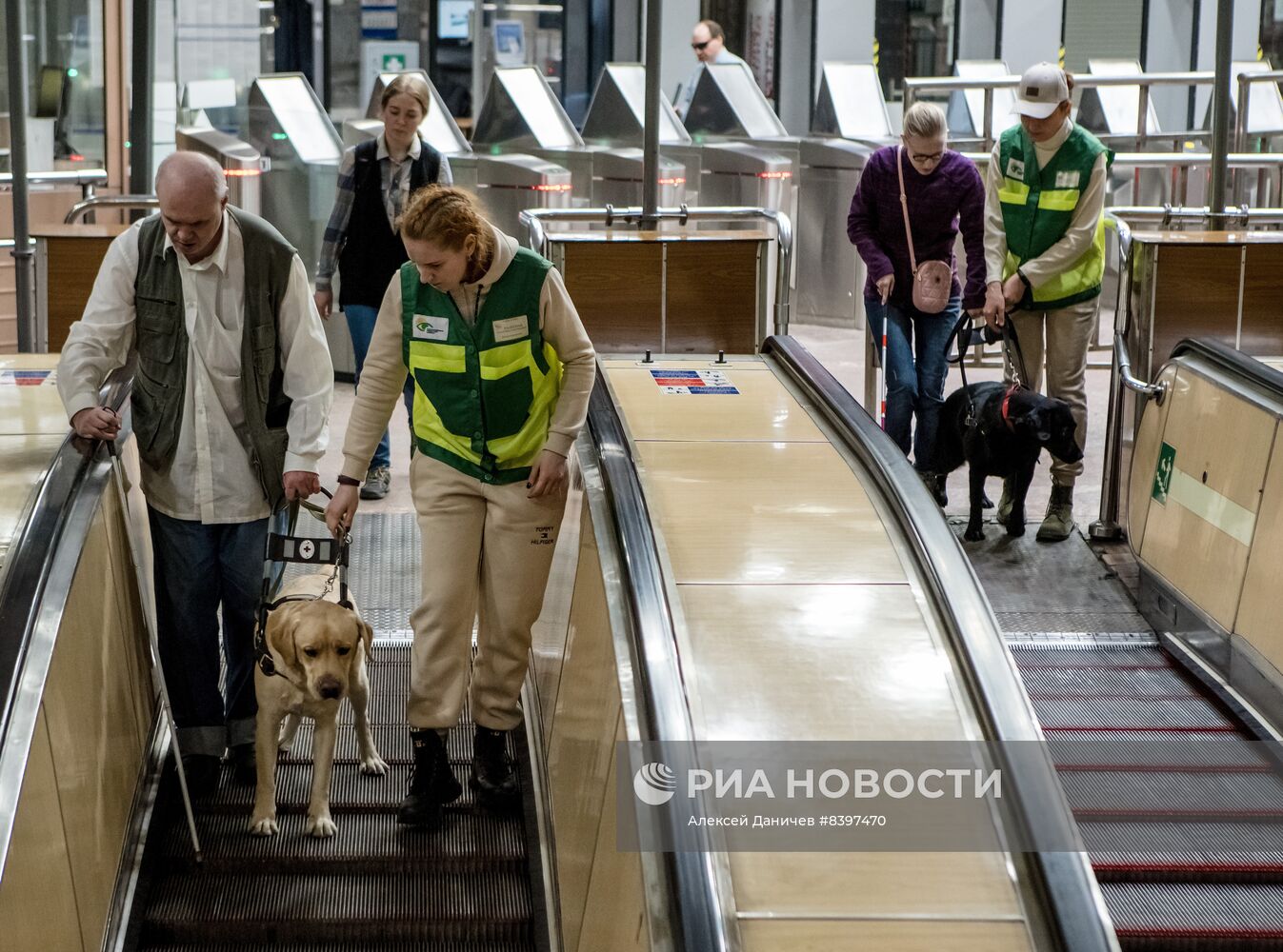 Тренировка собак-поводырей в метро Санкт-Петербурга