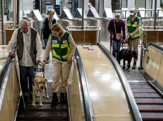 Тренировка собак-поводырей в метро Санкт-Петербурга