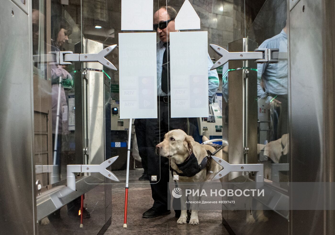 Тренировка собак-поводырей в метро Санкт-Петербурга