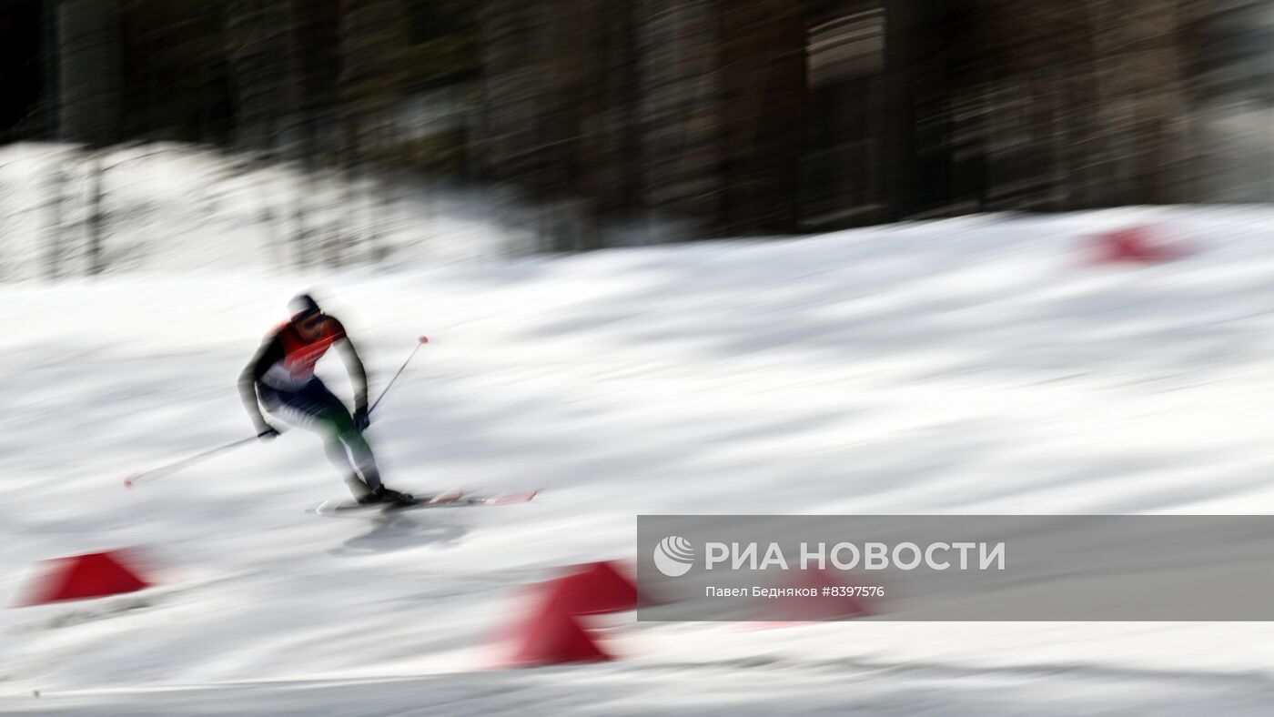 Лыжные гонки. Чемпионат России. Мужчины. Эстафета