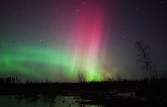 Северное сияние в Ленинградской области