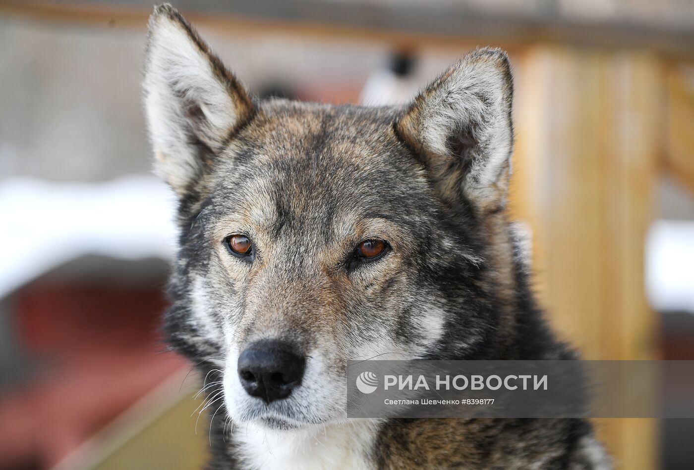 Национальный природный парк "Ленские столбы" в Якутии