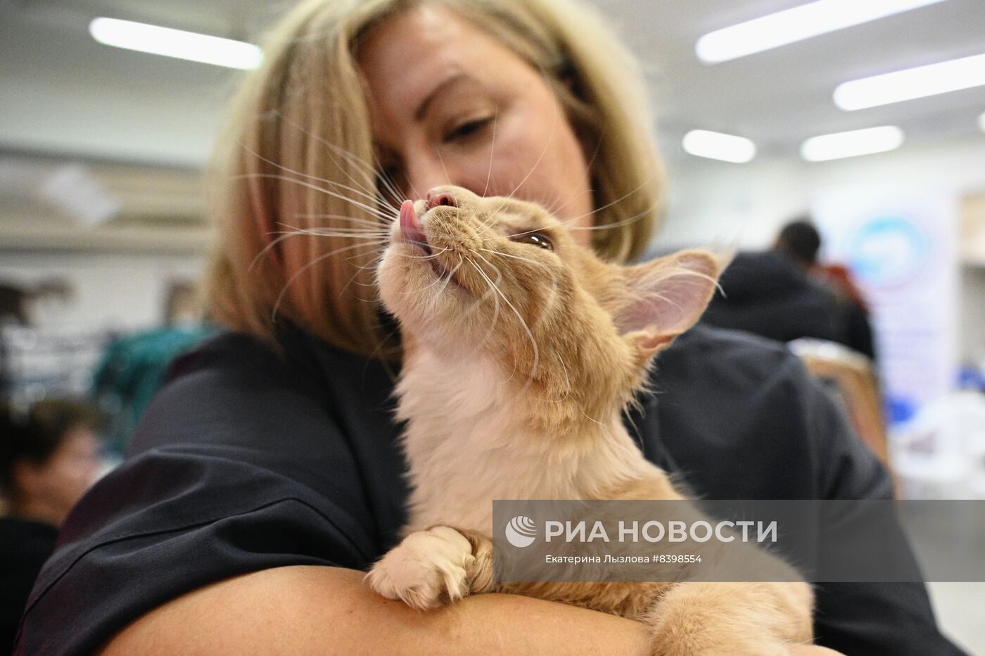 Международная выставка кошек в Сочи