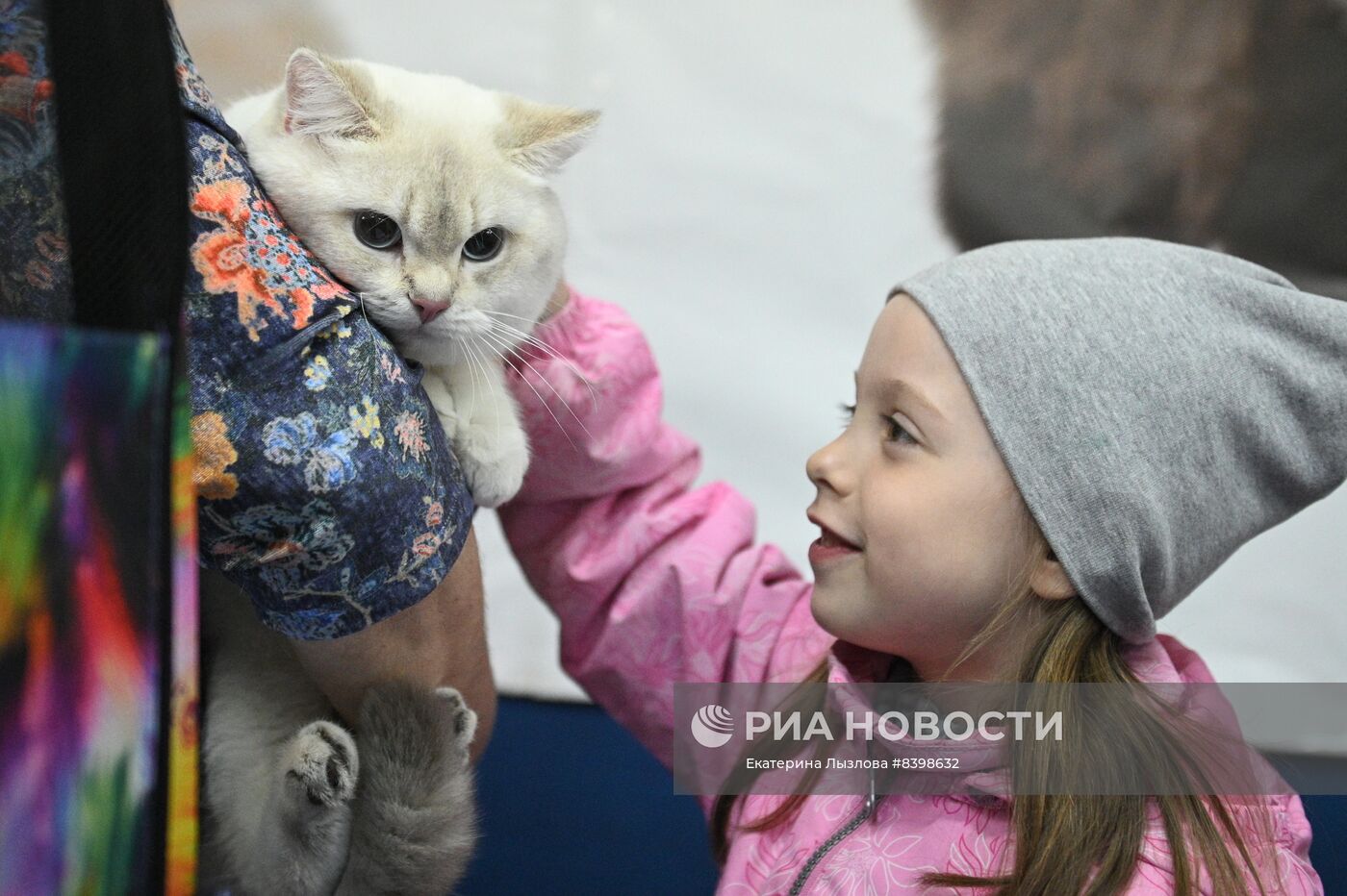 Международная выставка кошек в Сочи