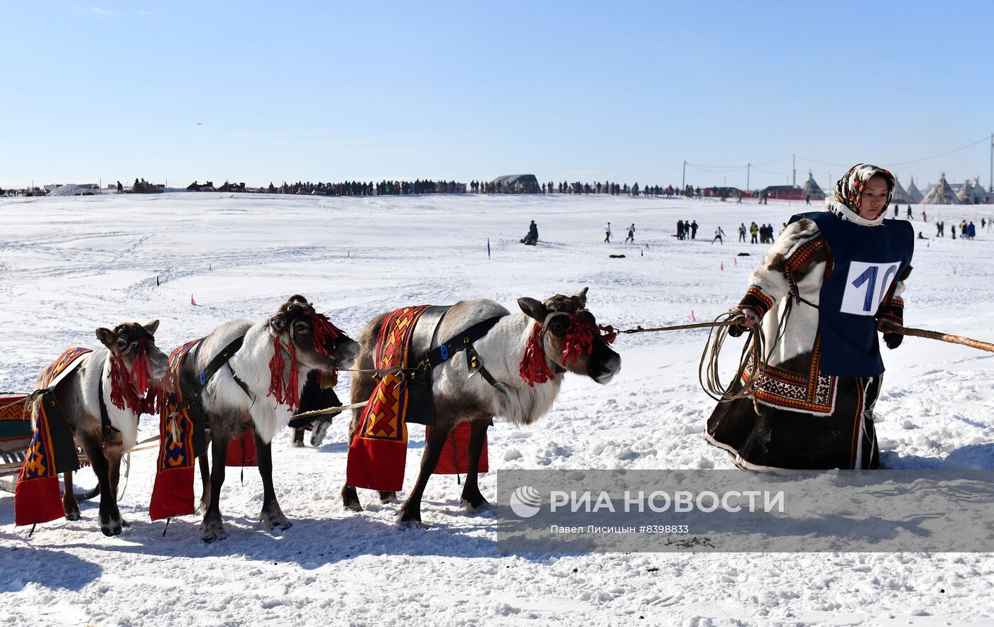 День оленевода в Салехарде