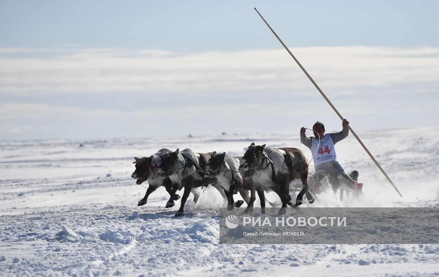 День оленевода в Салехарде