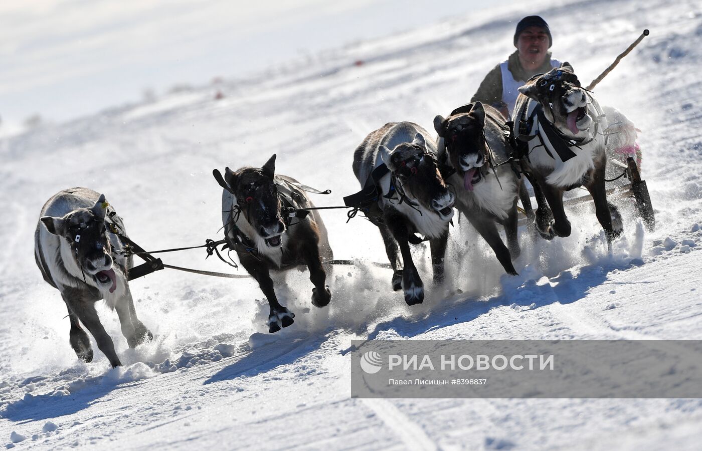 День оленевода в Салехарде