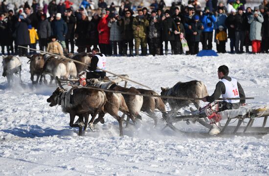 День оленевода в Салехарде